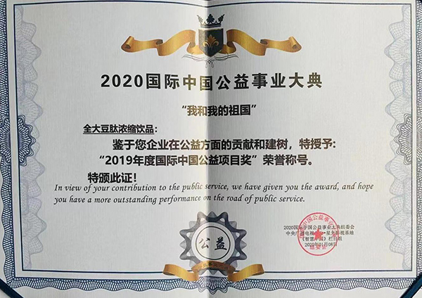 2019年度国际中国公益项目奖