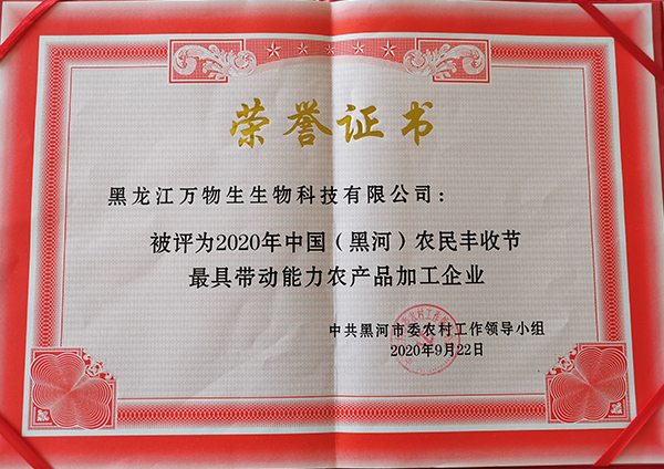 荣誉证书